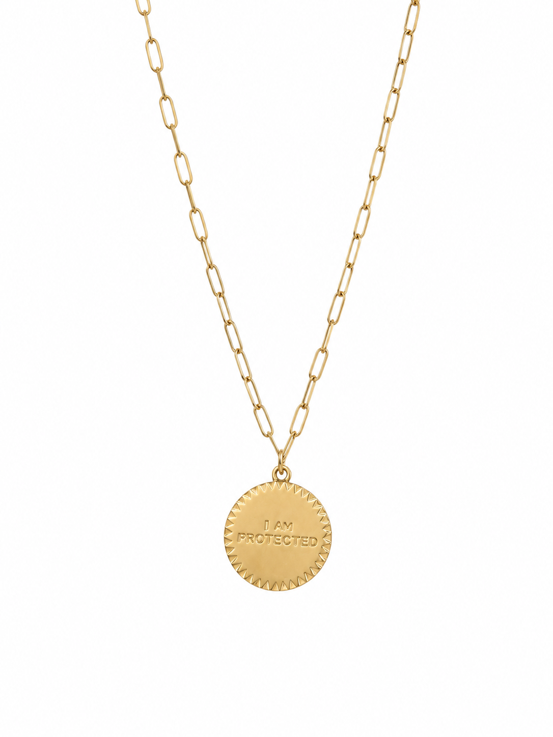 Protected Medallion Paperclip Necklace